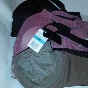 Lot of 3 bras 42C